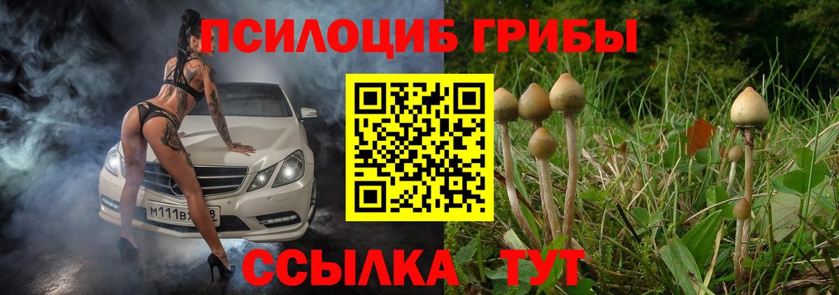 Галлюциногенные грибы Cubensis  Вход с VPN  купить закладку  Балабаново 